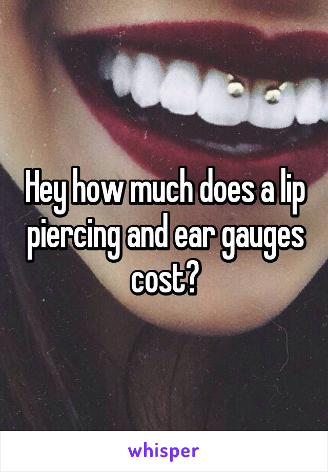 Hey how much does a lip piercing and ear gauges cost?