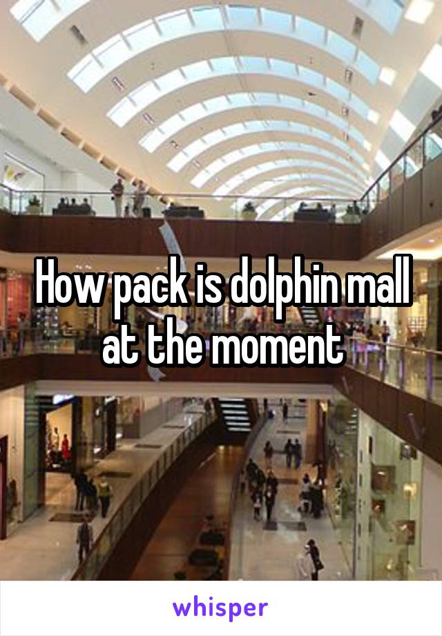 How pack is dolphin mall at the moment