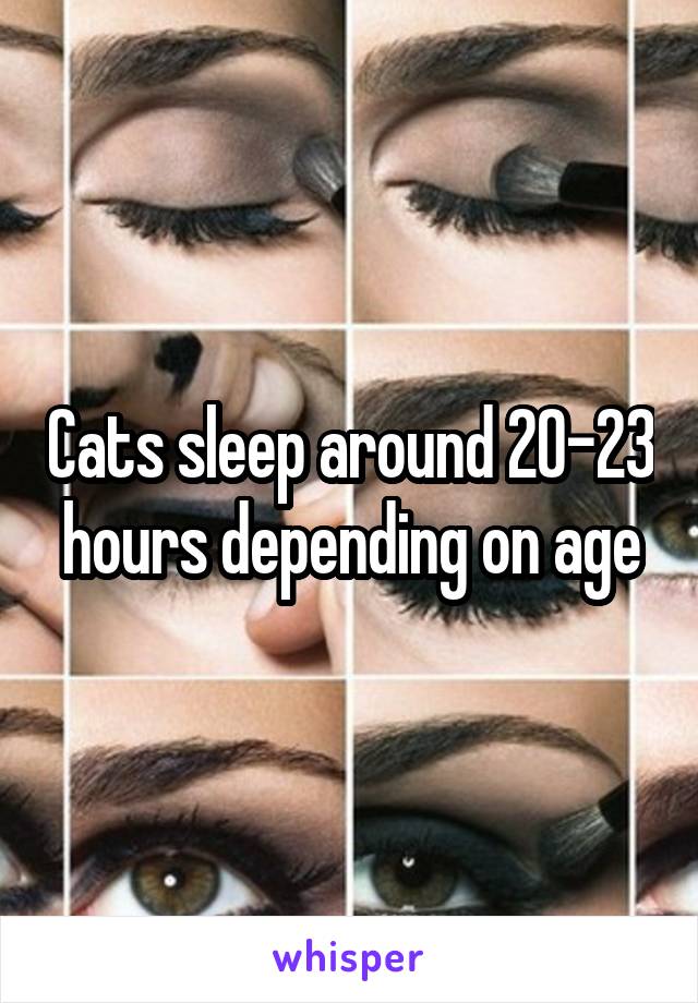 Cats sleep around 20-23 hours depending on age