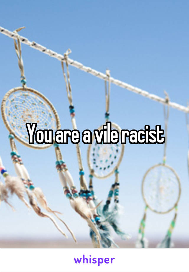 You are a vile racist