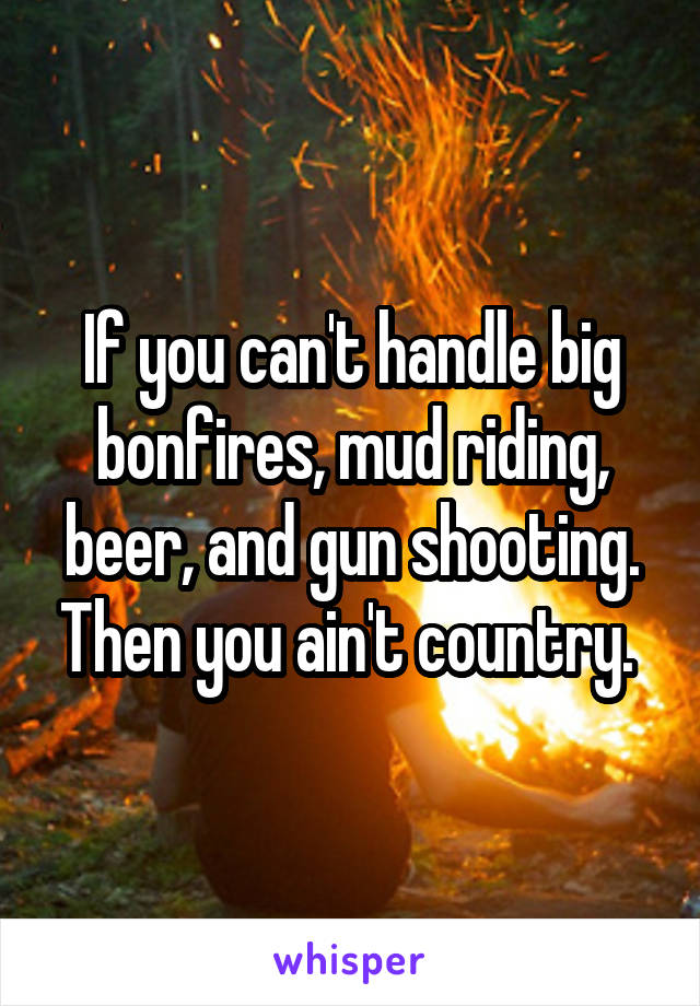 If you can't handle big bonfires, mud riding, beer, and gun shooting. Then you ain't country. 
