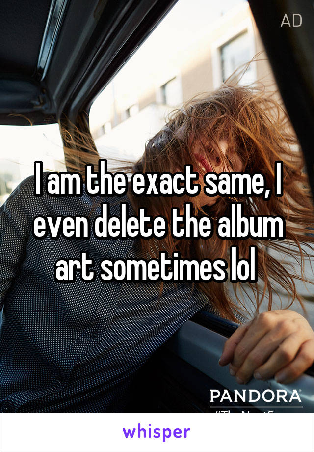 I am the exact same, I even delete the album art sometimes lol 