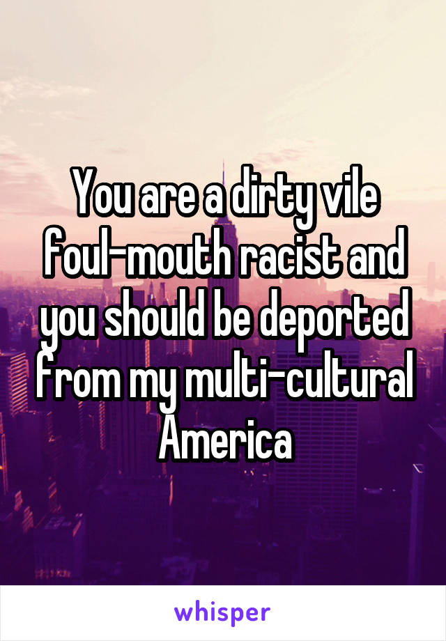 You are a dirty vile foul-mouth racist and you should be deported from my multi-cultural America