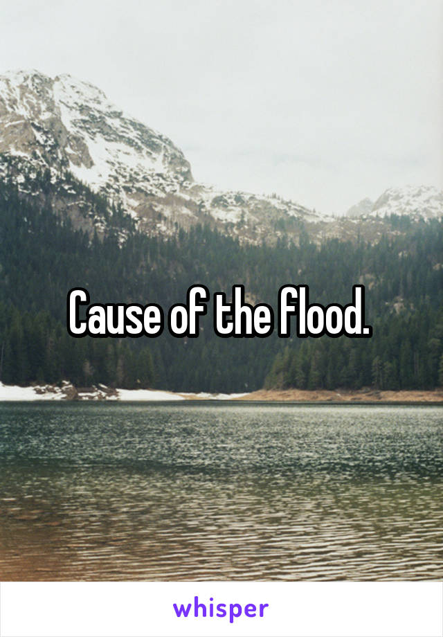 Cause of the flood. 