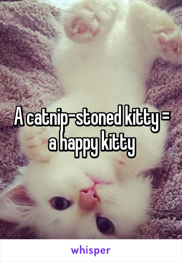 A catnip-stoned kitty = a happy kitty
