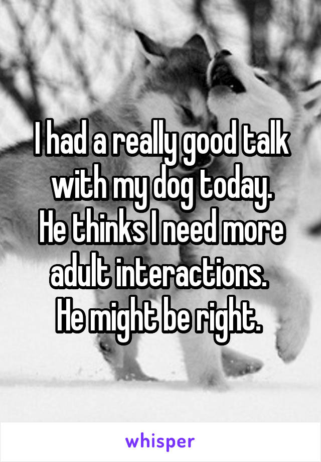 I had a really good talk with my dog today.
He thinks I need more adult interactions. 
He might be right. 