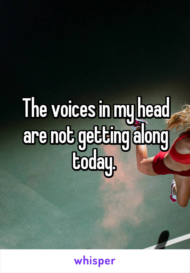 The voices in my head are not getting along today. 