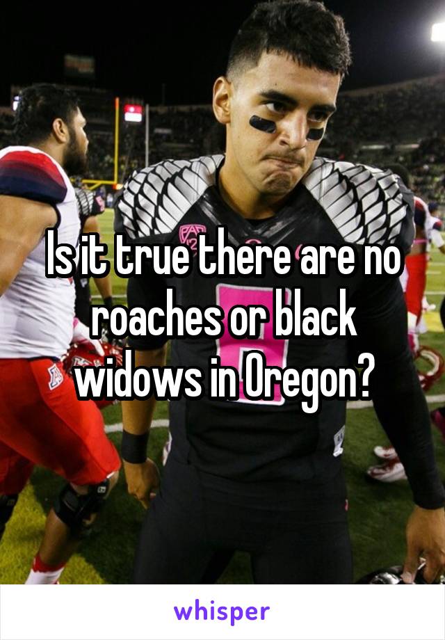Is it true there are no roaches or black widows in Oregon?