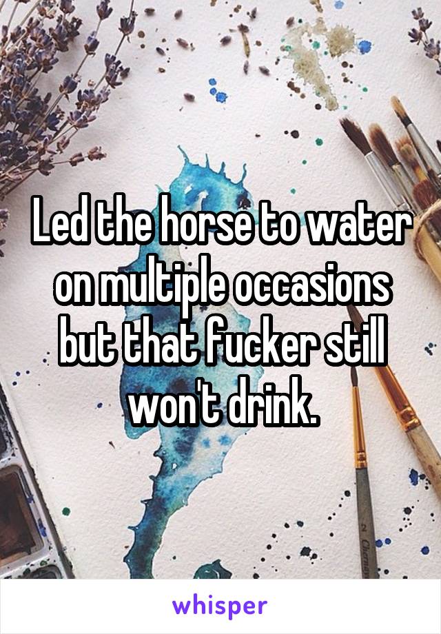 Led the horse to water on multiple occasions but that fucker still won't drink.