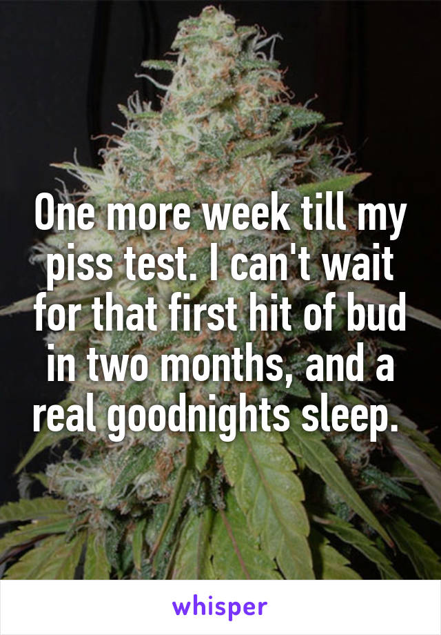 One more week till my piss test. I can't wait for that first hit of bud in two months, and a real goodnights sleep. 