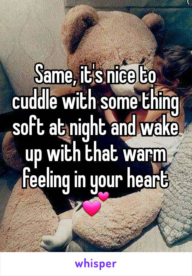 Same, it's nice to cuddle with some thing soft at night and wake up with that warm feeling in your heart💕