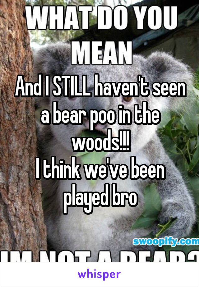 And I STILL haven't seen a bear poo in the woods!!!
I think we've been played bro