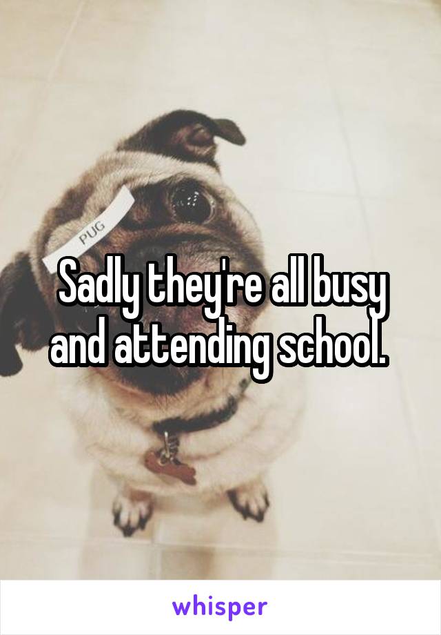 Sadly they're all busy and attending school. 
