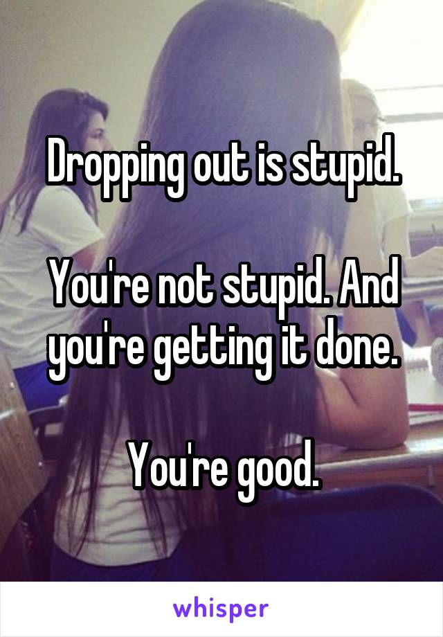 Dropping out is stupid.

You're not stupid. And you're getting it done.

You're good.