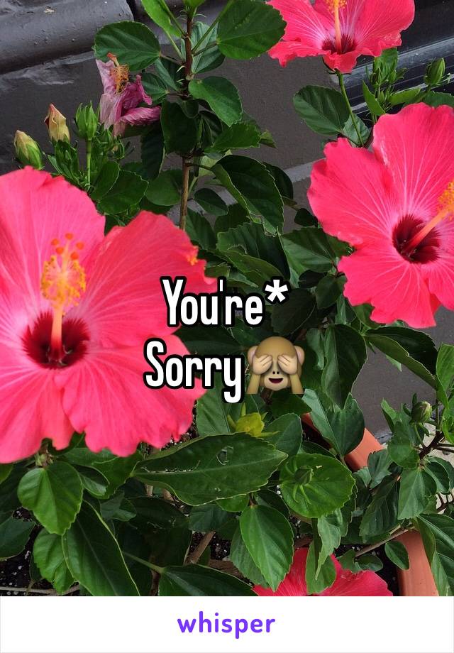 You're*
Sorry🙈