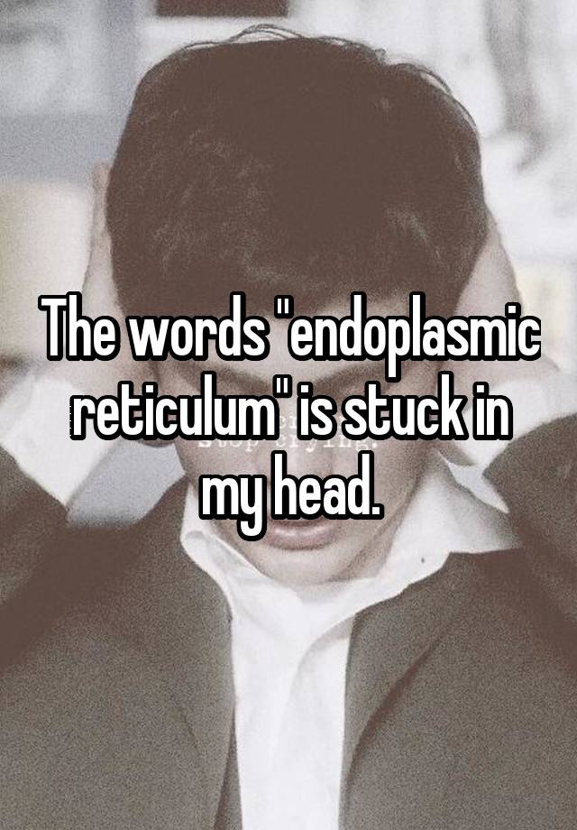 the-words-endoplasmic-reticulum-is-stuck-in-my-head