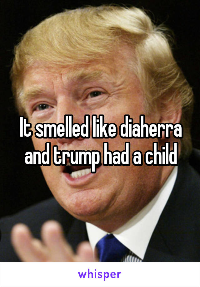 It smelled like diaherra and trump had a child
