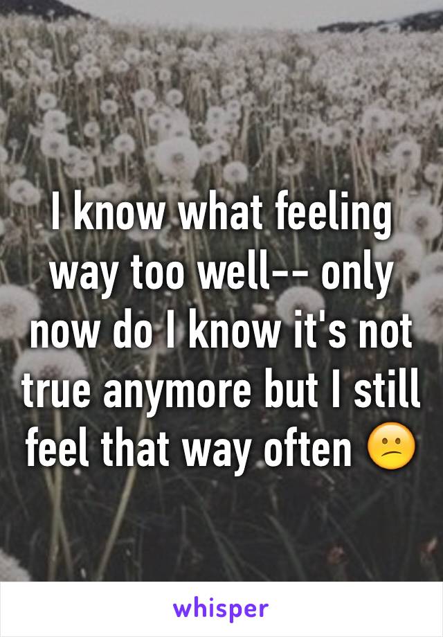 I know what feeling way too well-- only now do I know it's not true anymore but I still feel that way often 😕