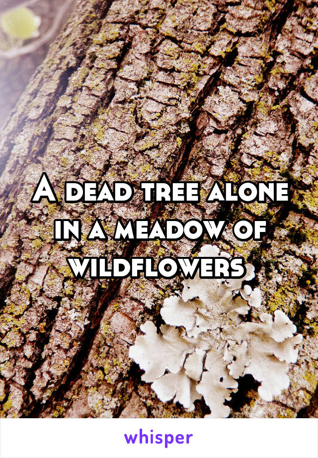 A dead tree alone in a meadow of wildflowers 