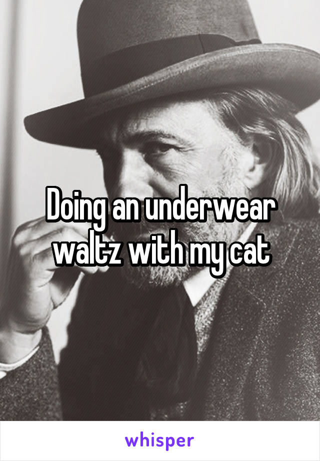 Doing an underwear waltz with my cat