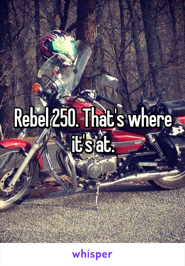 Rebel 250. That's where it's at.