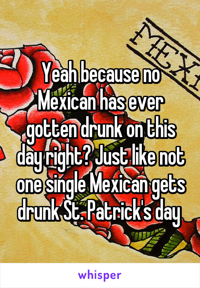 Yeah because no Mexican has ever gotten drunk on this day right? Just like not one single Mexican gets drunk St. Patrick's day 