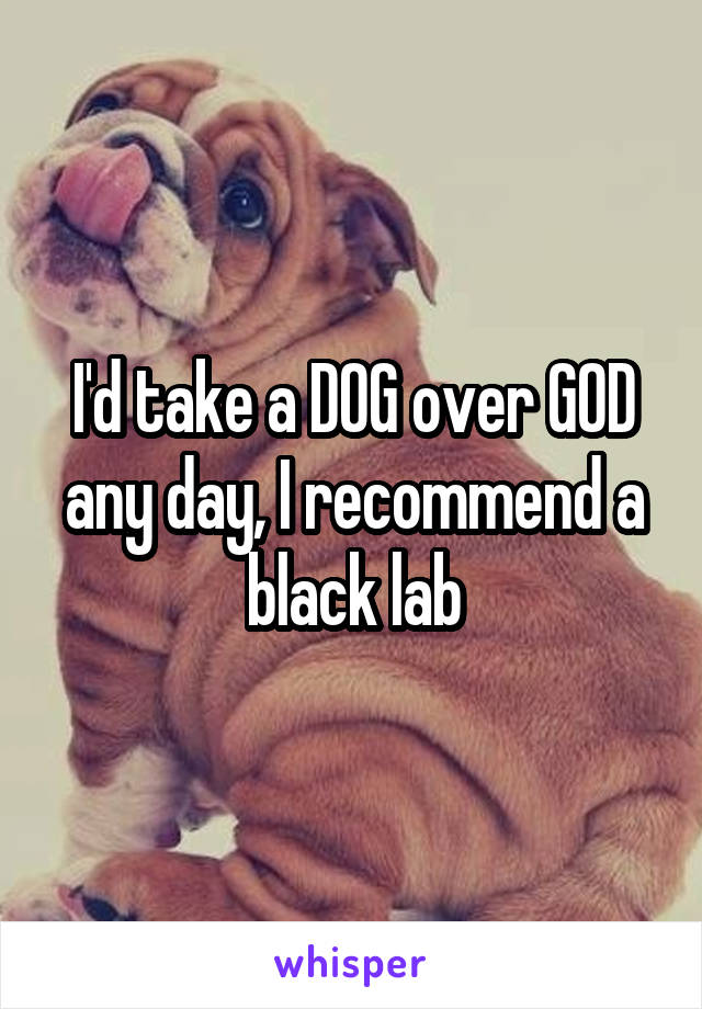 I'd take a DOG over GOD any day, I recommend a black lab