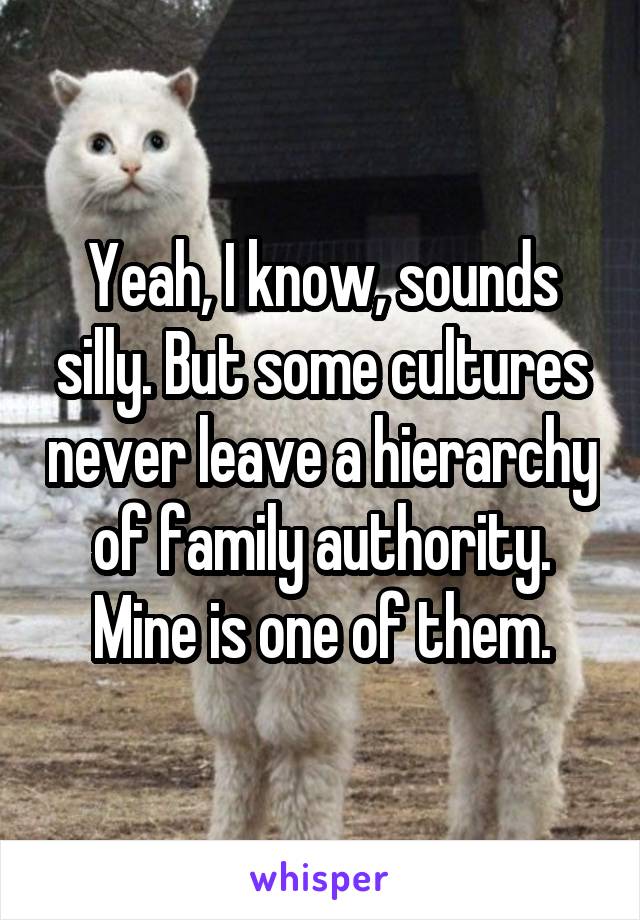 Yeah, I know, sounds silly. But some cultures never leave a hierarchy of family authority. Mine is one of them.