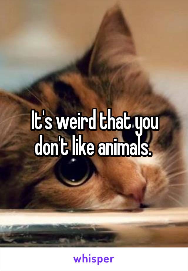 It's weird that you don't like animals. 