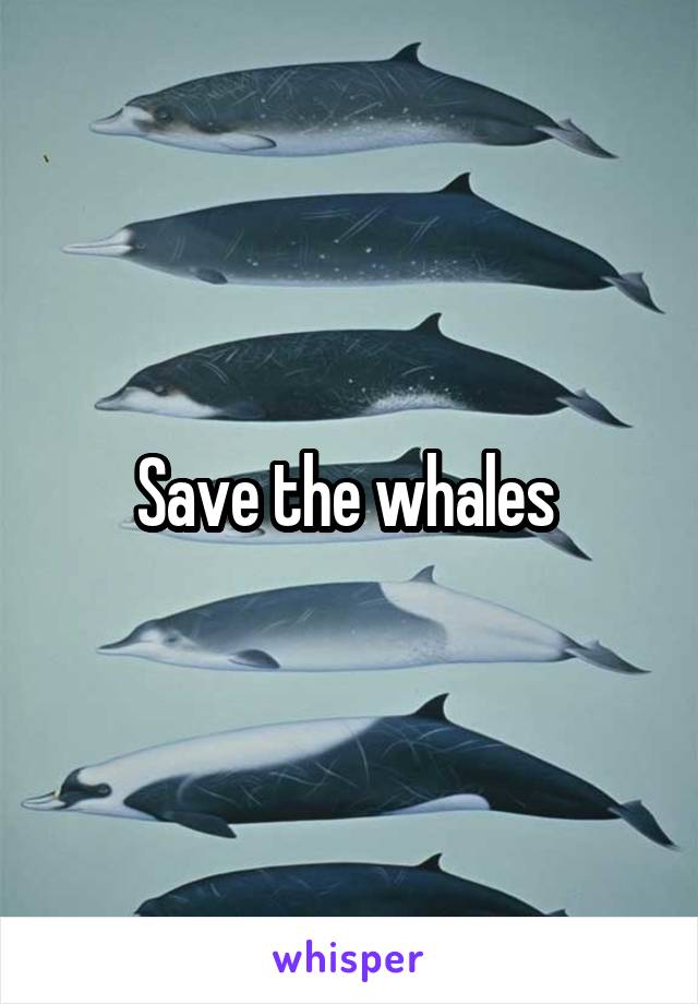 Save the whales 