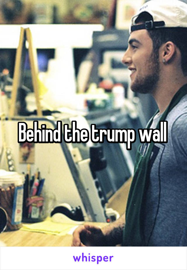 Behind the trump wall 