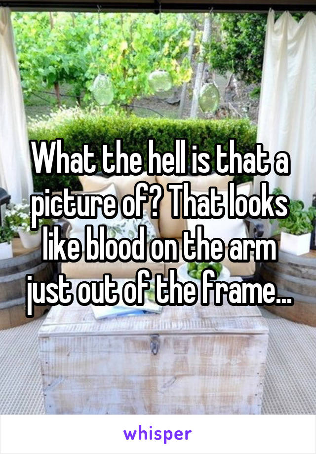 What the hell is that a picture of? That looks like blood on the arm just out of the frame...