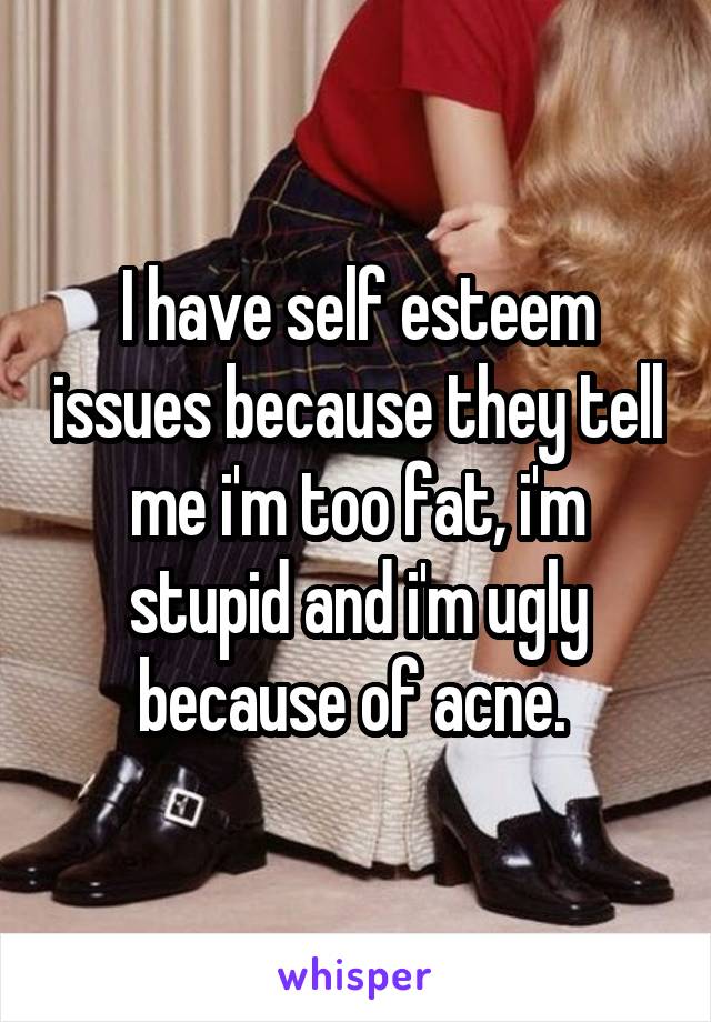 I have self esteem issues because they tell me i'm too fat, i'm stupid and i'm ugly because of acne. 