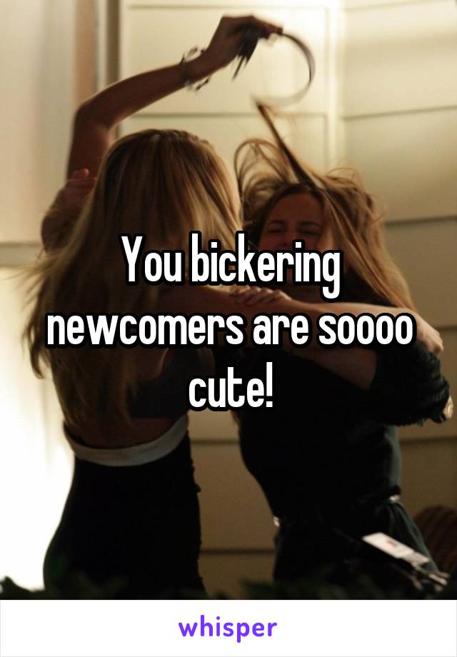 You bickering newcomers are soooo cute!