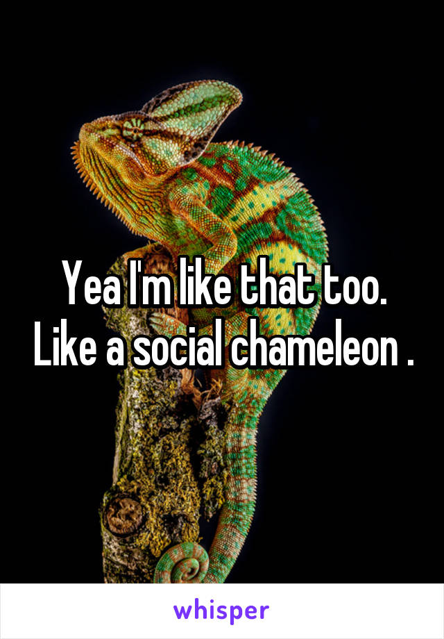 Yea I'm like that too. Like a social chameleon .