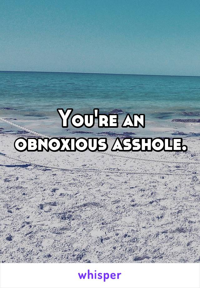 You're an obnoxious asshole. 