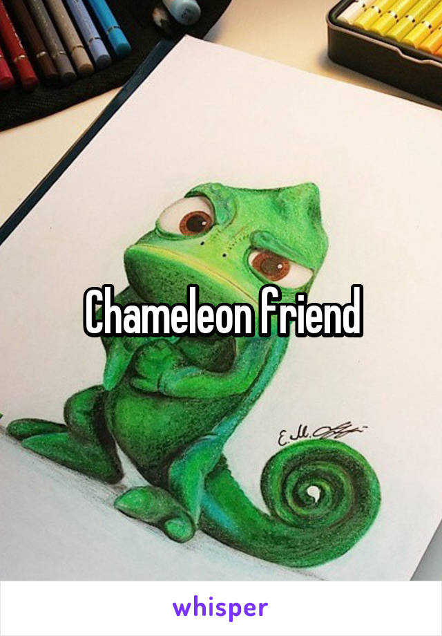 Chameleon friend