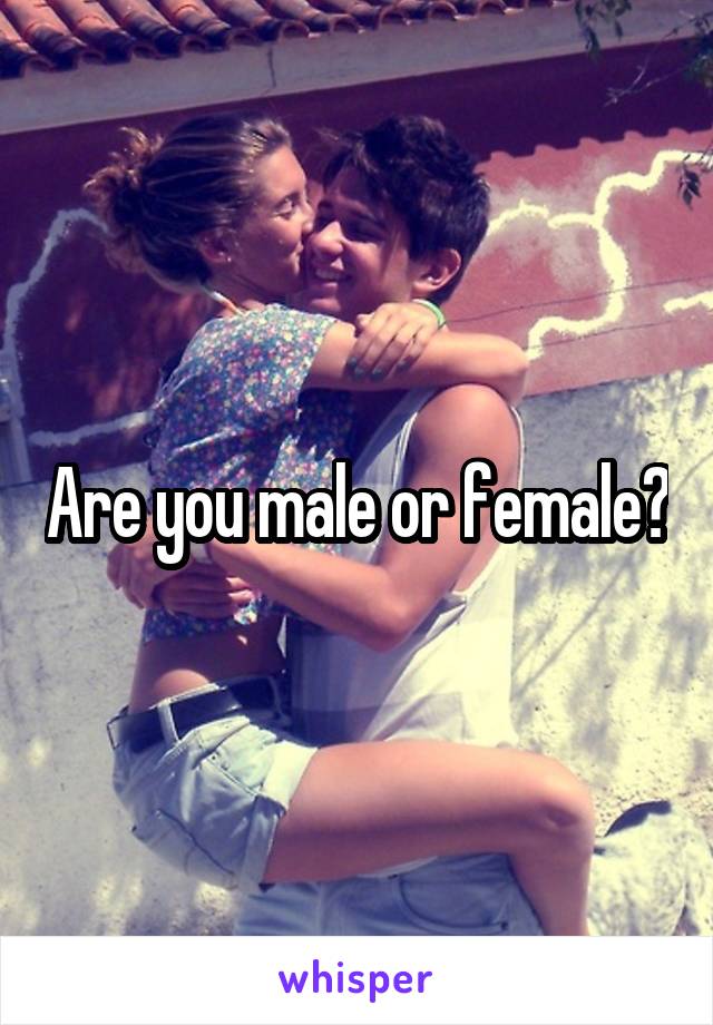 Are you male or female?