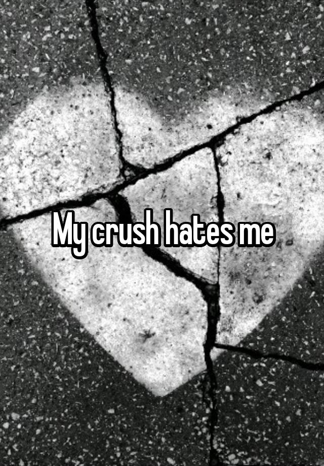 my-crush-hates-me