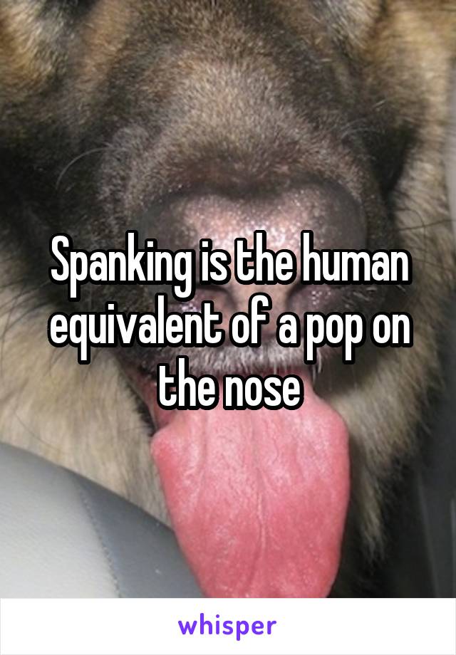 Spanking is the human equivalent of a pop on the nose