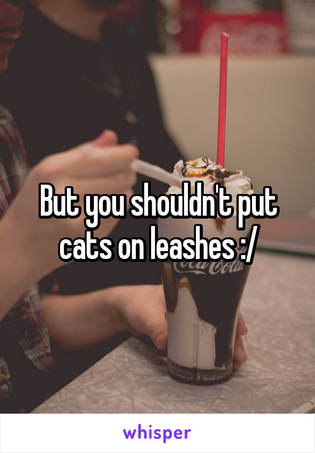But you shouldn't put cats on leashes :/