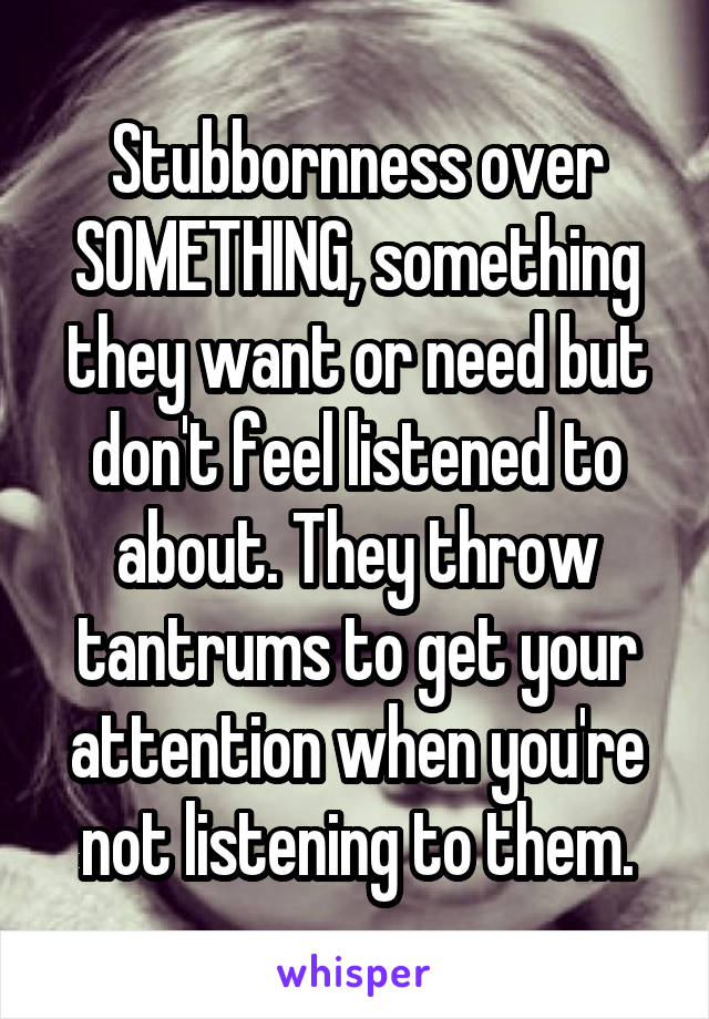 Stubbornness over SOMETHING, something they want or need but don't feel listened to about. They throw tantrums to get your attention when you're not listening to them.