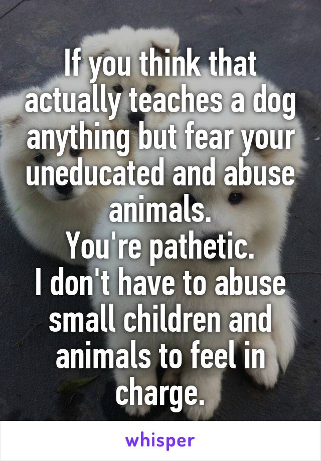 If you think that actually teaches a dog anything but fear your uneducated and abuse animals.
You're pathetic.
I don't have to abuse small children and animals to feel in charge.