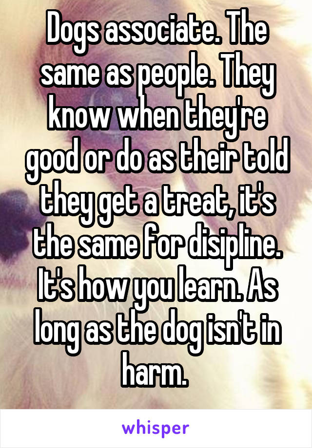 Dogs associate. The same as people. They know when they're good or do as their told they get a treat, it's the same for disipline. It's how you learn. As long as the dog isn't in harm. 
