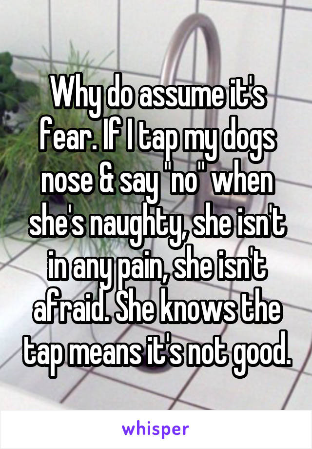 Why do assume it's fear. If I tap my dogs nose & say "no" when she's naughty, she isn't in any pain, she isn't afraid. She knows the tap means it's not good.