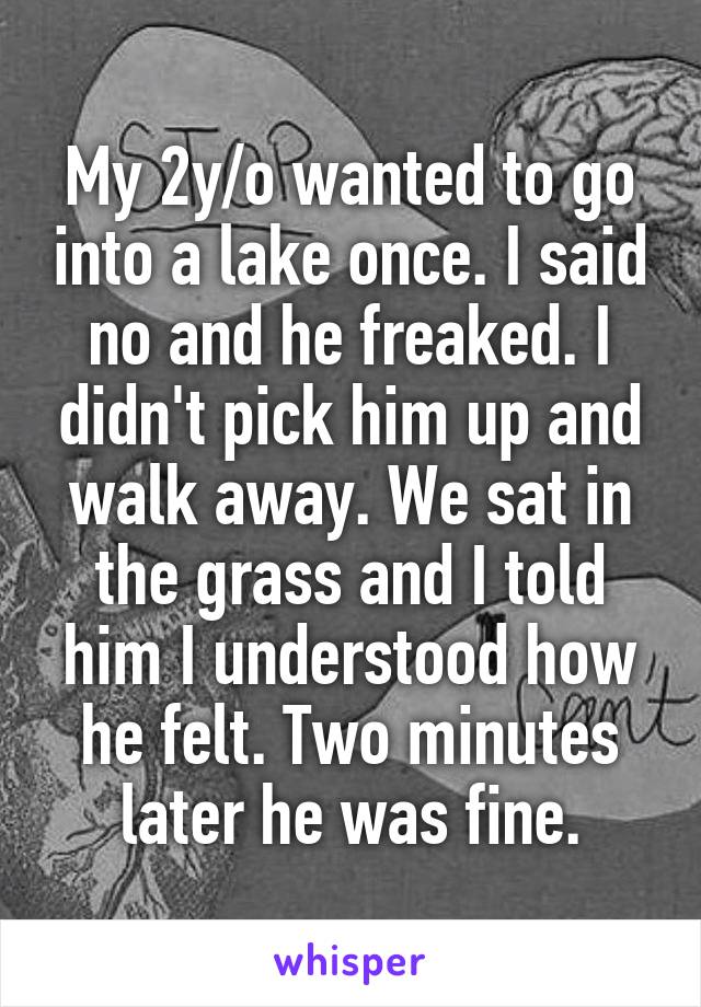 My 2y/o wanted to go into a lake once. I said no and he freaked. I didn't pick him up and walk away. We sat in the grass and I told him I understood how he felt. Two minutes later he was fine.