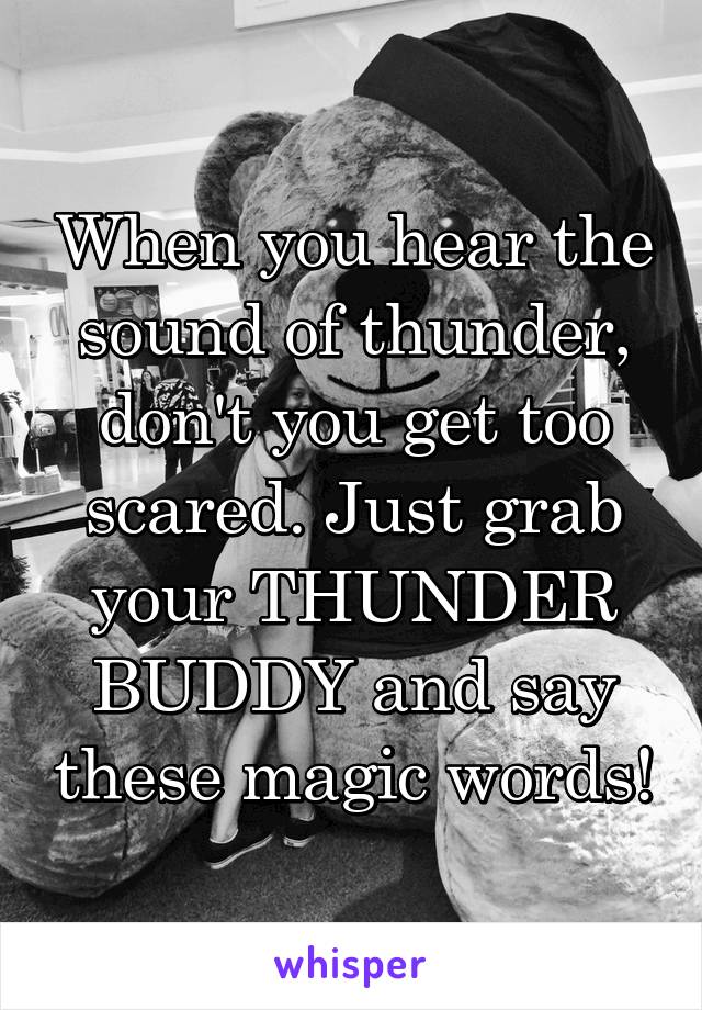 When you hear the sound of thunder, don't you get too scared. Just grab your THUNDER BUDDY and say these magic words!
