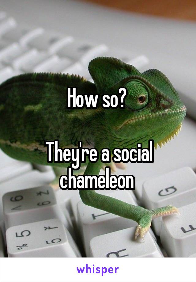 How so? 

They're a social chameleon 