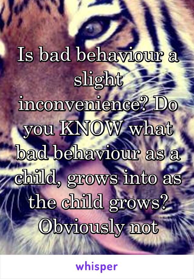 Is bad behaviour a slight inconvenience? Do you KNOW what bad behaviour as a child, grows into as the child grows? Obviously not