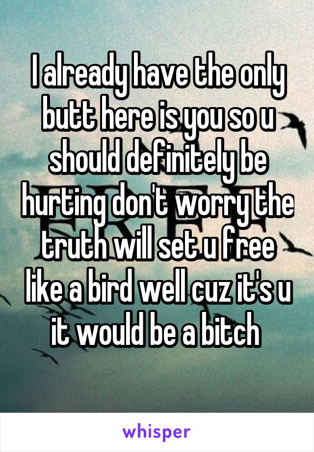 I already have the only butt here is you so u should definitely be hurting don't worry the truth will set u free like a bird well cuz it's u it would be a bitch 
